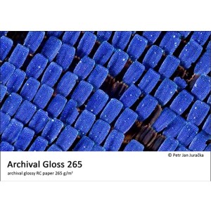 Archival Gloss 265